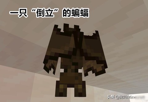 我的世界蝙蝠怎么驯服[图1]