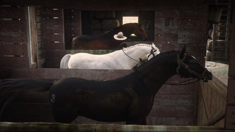 荒野大镖客如何喂马